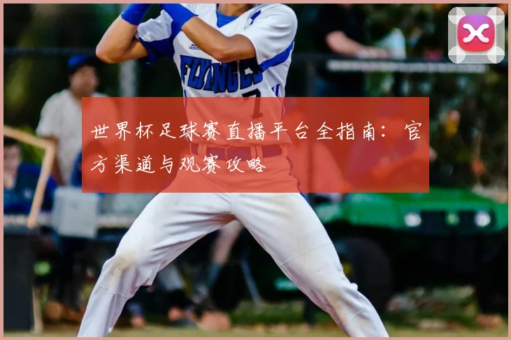 世界杯足球赛直播平台全指南：官方渠道与观赛攻略